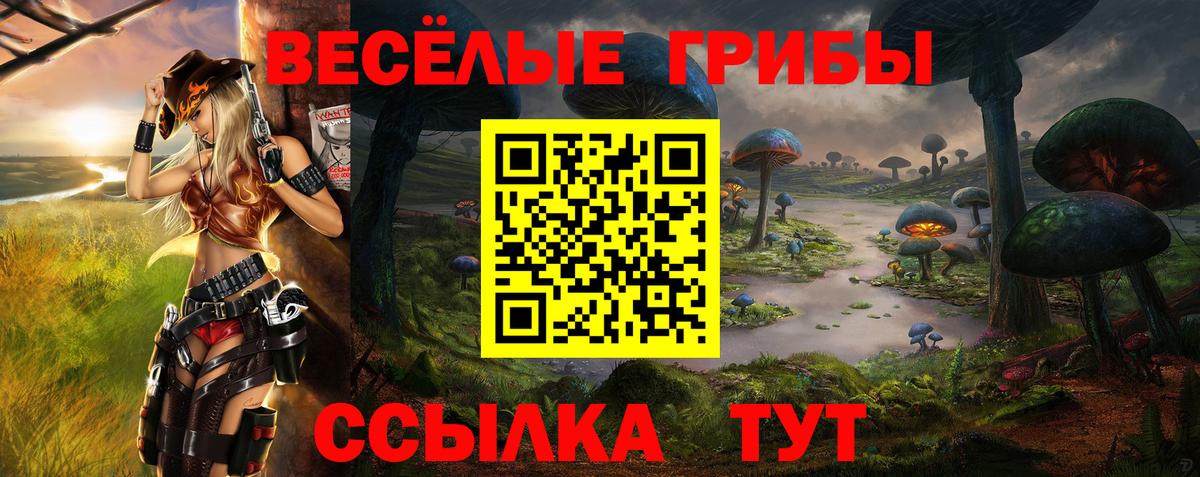 Псилоцибиновые грибы мухоморы Сунжа